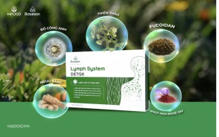 Lymph System Detox - Cuộc cách mạng trong chăm sóc sức khỏe hệ bạch huyết